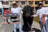 ¡Hecho inaudito en Arequipa! Hombre va a votar con su toro de 900 kilos en la segunda vuelta