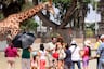 Mejoran vías en los alrededores del Parque de las Leyendas