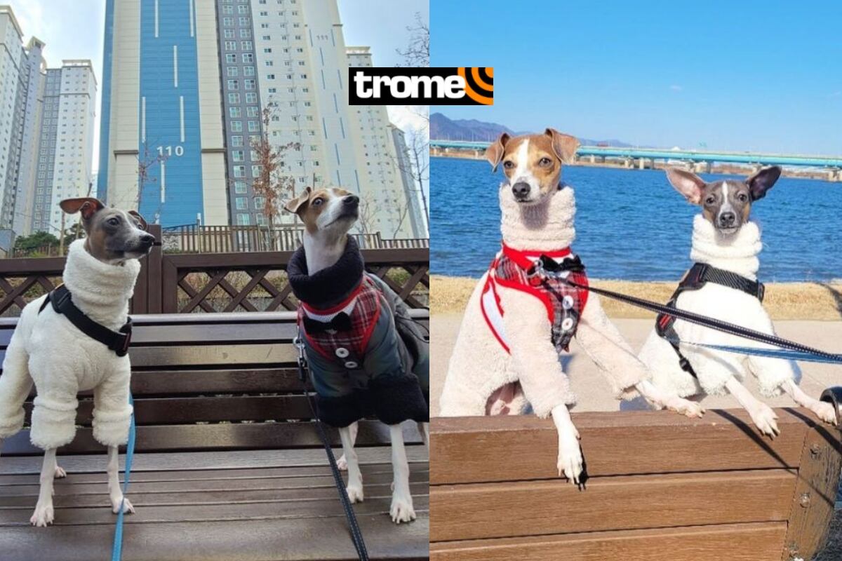 Fotos de Paeng y Song en la cuenta de IG del hermano de Jungkook de BTS. Foto: Captura IG