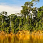 Mundo Escolar: ¿Qué hace único al Parque Nacional del Manu?