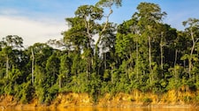 Mundo Escolar: ¿Qué hace único al Parque Nacional del Manu?