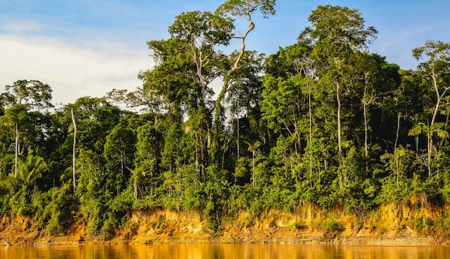 Mundo Escolar: ¿Qué hace único al Parque Nacional del Manu?