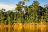 Mundo Escolar: ¿Qué hace único al Parque Nacional del Manu?