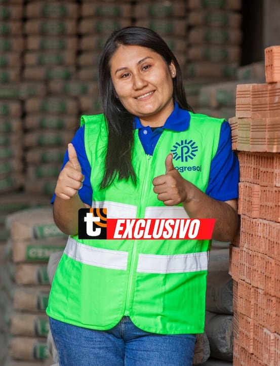 Yadira ferretera de Lima Norte Progresol