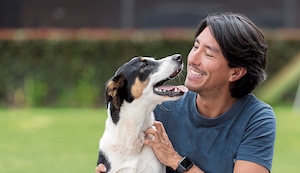 Cómo cuidar a un perro rescatado de la calle