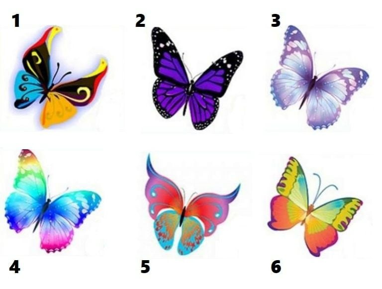 En la imagen se observan seis tipos de mariposas con alas de varios colores y formas. Tu respuesta basada en tu elección revelará algo que desconocías sobre tu forma de ser. | Foto: MDZ Online