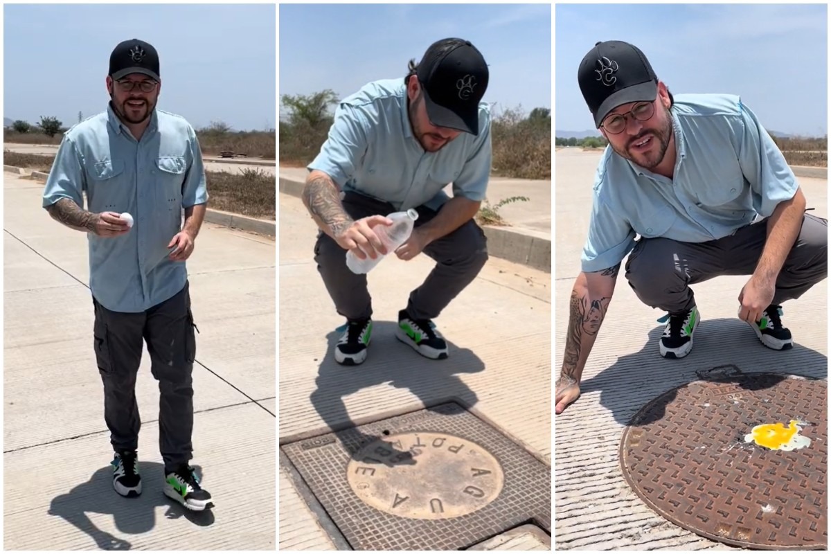 Hombre mostró cómo el calor puede afectar a los animales. (Foto: @chemanimals / TikTok)