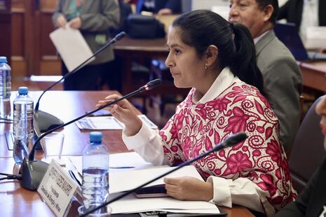 Pepitas: La cuñada de Pedro Castillo, Yenifer Paredes, no sabe ni leer