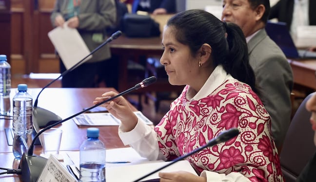Presidenta de la Comisión de Energía y Minas, Yenifer Paredes.