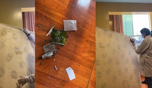 Día del Amor: Colchones de hostales tenían cucarachas y restos de comida