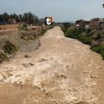 Cochinos contaminan el río Rímac