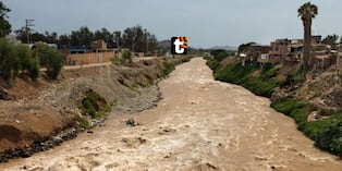 Cochinos contaminan el río Rímac