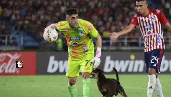 Perrito se robó los reflectores en el Universitario vs Junior en Barranquilla por la Copa Libertadores 2024.