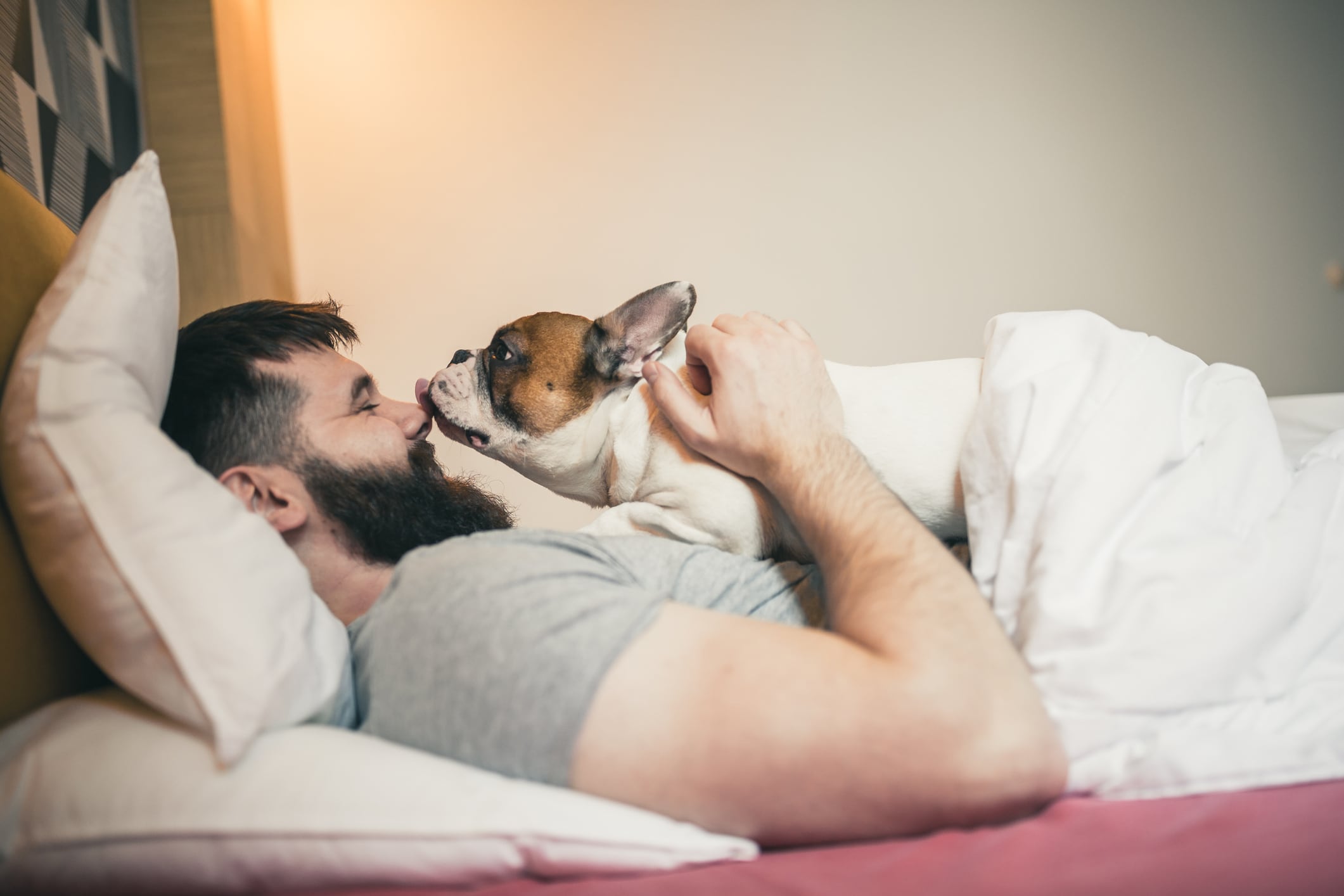 Los perros son animales muy olfativos. Colocar una manta con tu aroma o un juguete que huela a ti en su cama puede ayudar a reducir la ansiedad nocturna y duerma bien. Foto: Istock