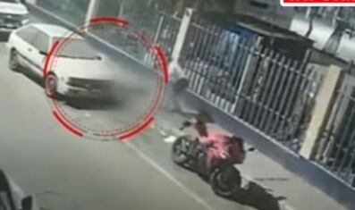 Impactantes imágenes de crueldad animal (Foto: Latina)