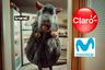 Movistar y Claro demandan a Win por publicidad “Que no te metan la rata”: ¿Competencia desleal?