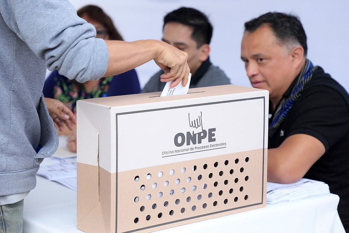Este domingo 4 acude a tu local de votación.