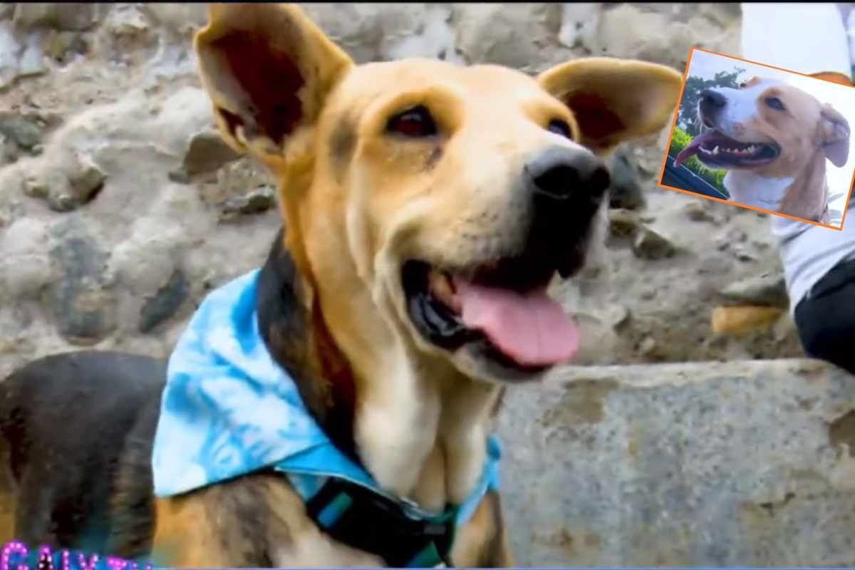 Verdadero Vaguito y el Vaguito de la película. (Captura Magaly TV, La Firme)