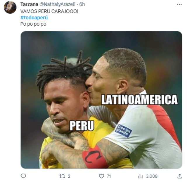 Hinchas de la Bicolor comparten emocionantes memes del Perú vs. Chile