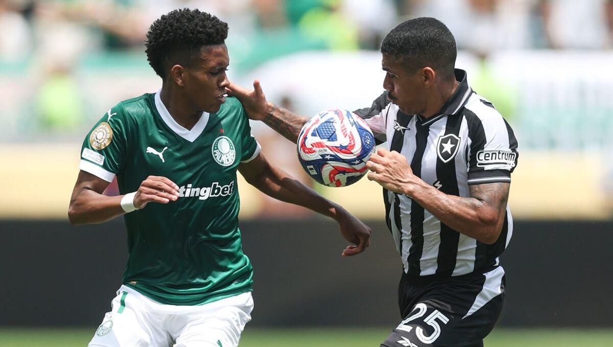 Palmeiras y Botafogo se enfrentaron por el Mundial de Clubes. (Foto: Getty Images)