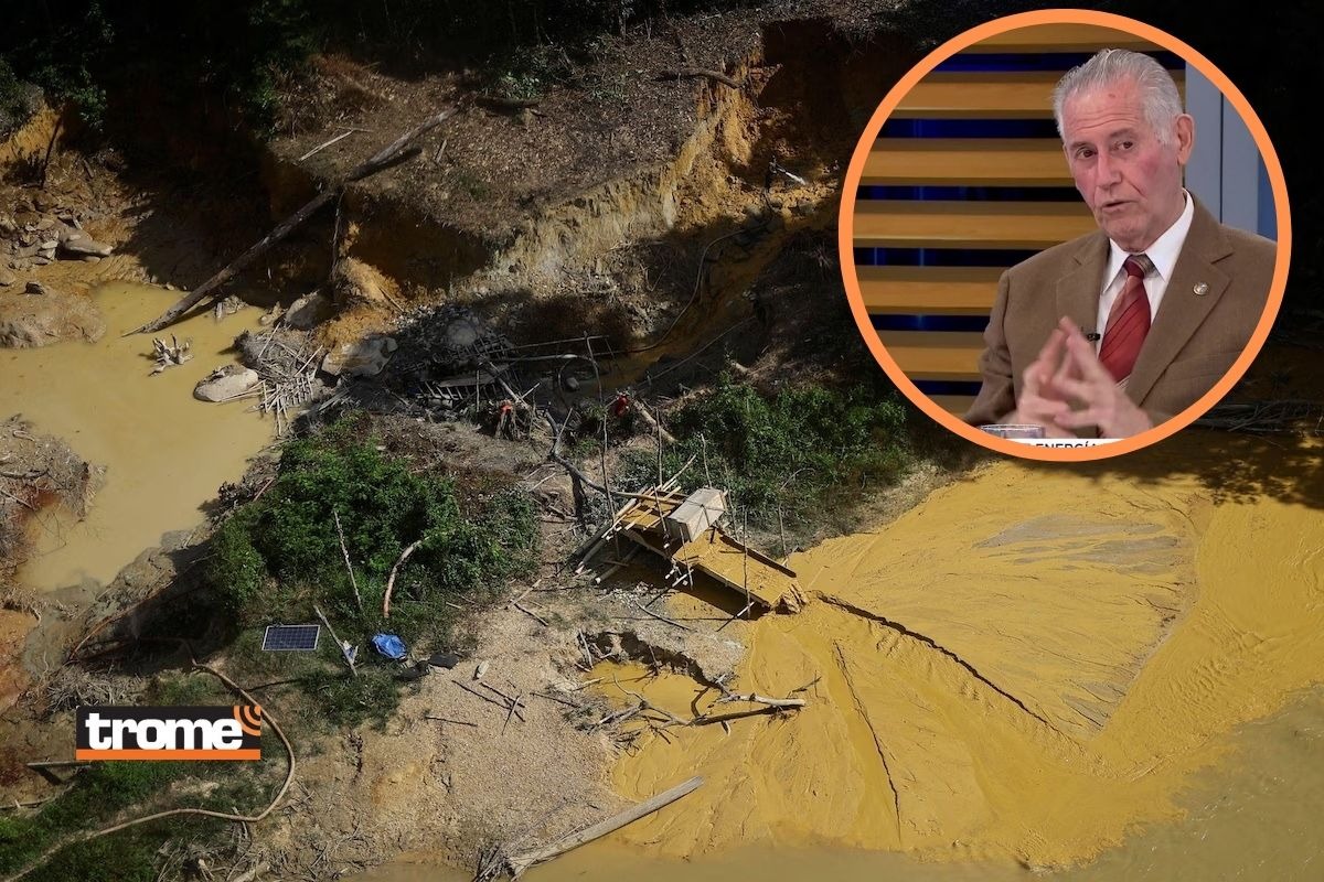 Exministro de Energía y Minas, Carlos Herrera Descalzi, lamentó que el Congreso busque ampliar el Reinfo.