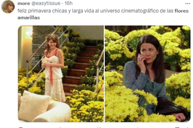 Memes de flores amarillas