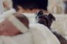 La extraña razón por la que una madre le puso el nombre de su perro a su bebé