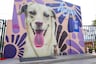 Murales incentivan la adopción de perritos y contribuyen a descontaminar el aire
