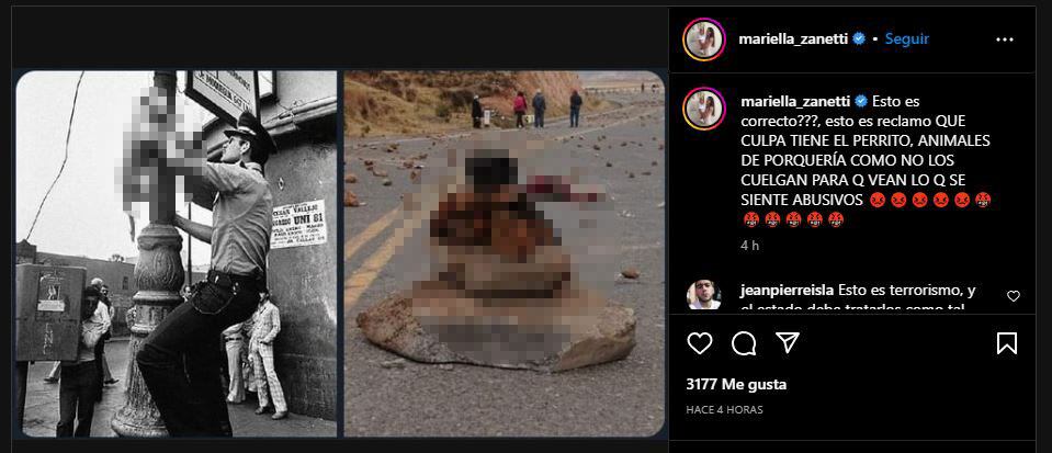 Mariella Zanetti no dejó pasar el supuesto maltrato que realizan los manifestantes a las mascotas en el interior del país.