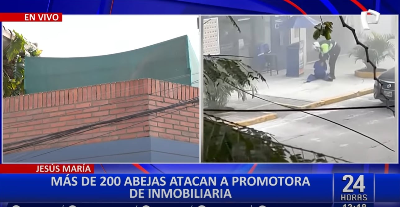 Serenos de la Municipalidad de Jesús María apoyaron a mujer atacada por abejas.