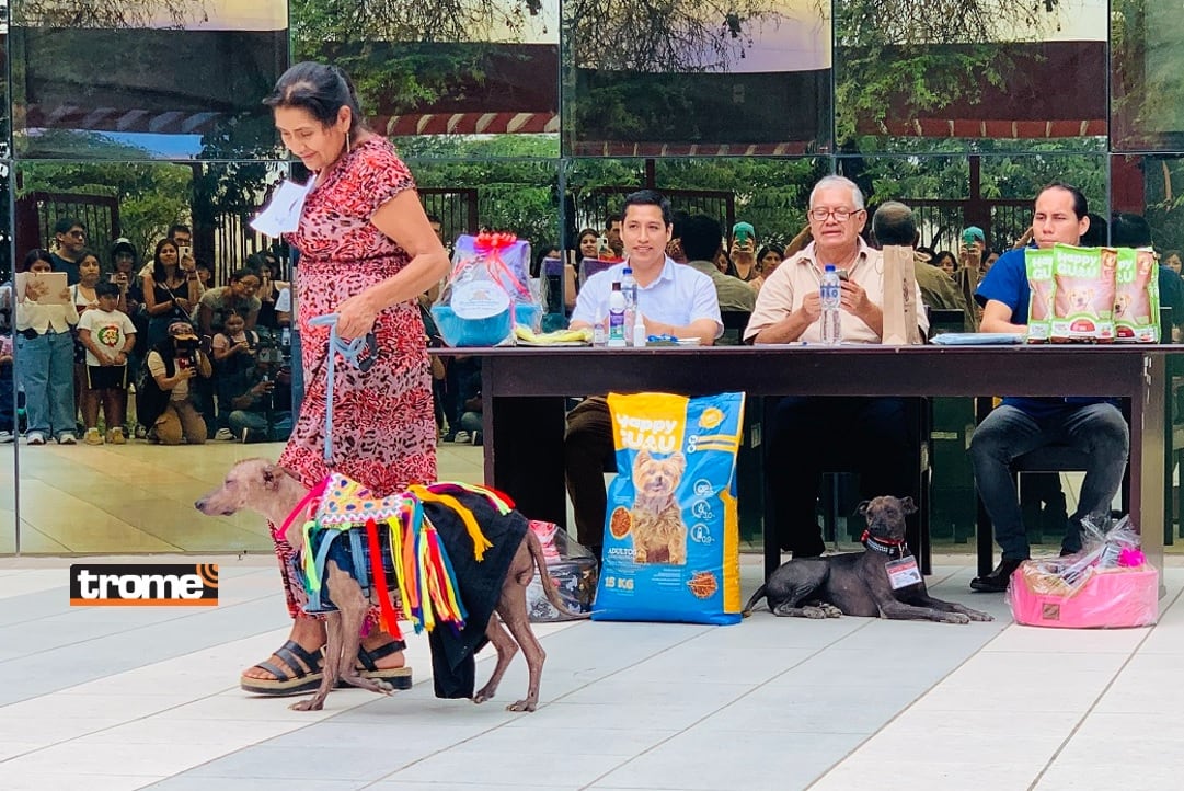 Perritos peruanos sin pelo, raza canina, oriunda de nuestro país, abren celebraciones por mes patrio en concurso. (Isabel Medina / Trome).