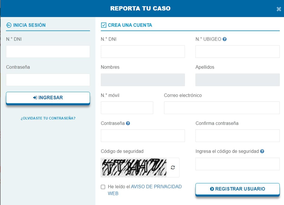 Las denuncias de bullying se presentan en el portal SíseVe (Foto: Minedu)