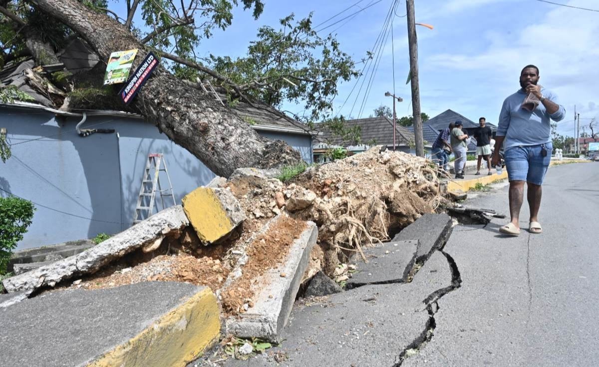 Una persona camina frente a un árbol caído debido al paso del huracán Melissa este miércoles, en la Parroquia de Saint Ann en el condado de Middlesex (Jamaica). (Foto: EFE)
