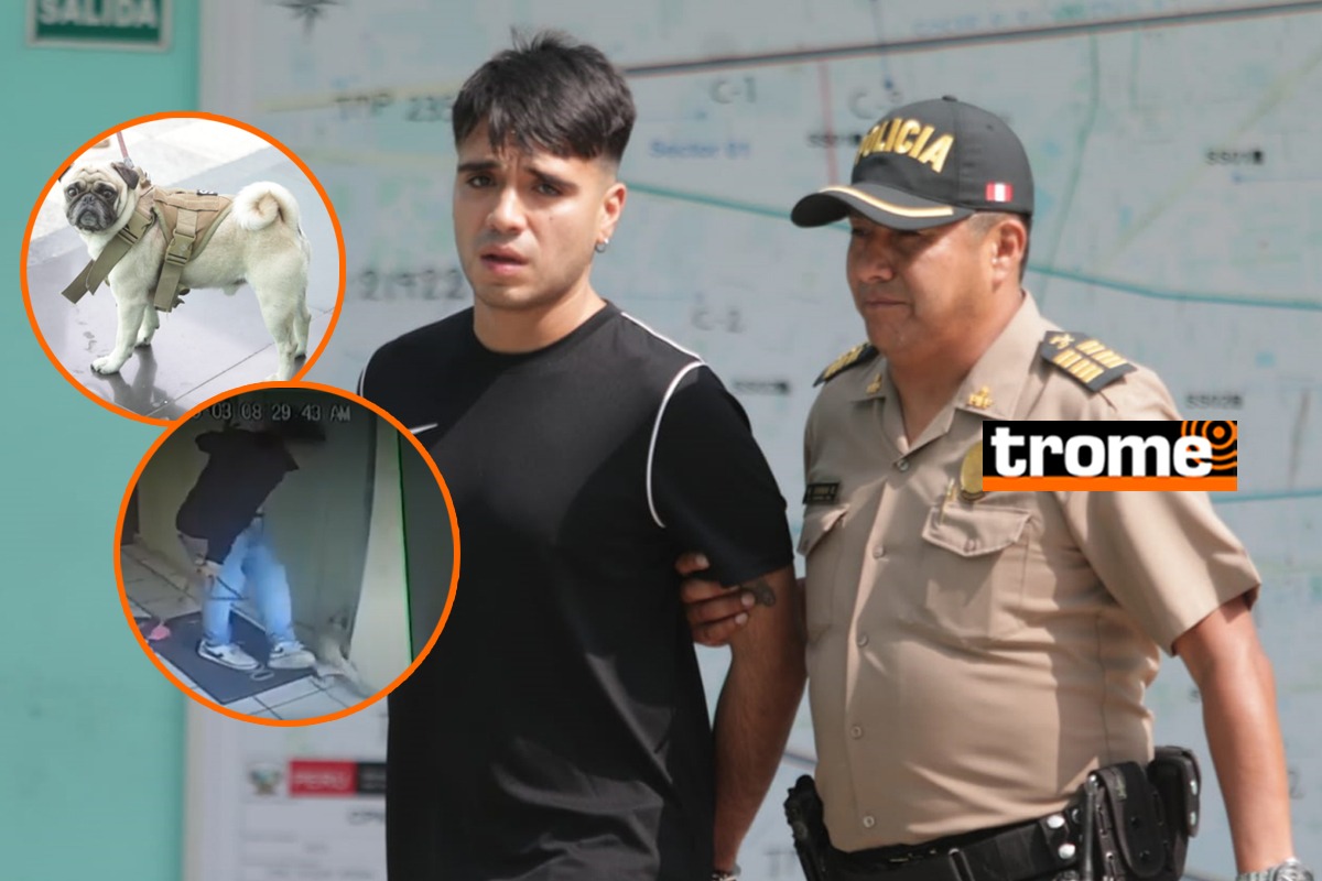 Giusseppe Miani Escobar, de 22 años, es el nombre del despiadado sujeto que maltrataba a su mascota. Fotos: Alessandro Currarino / @photo.gec