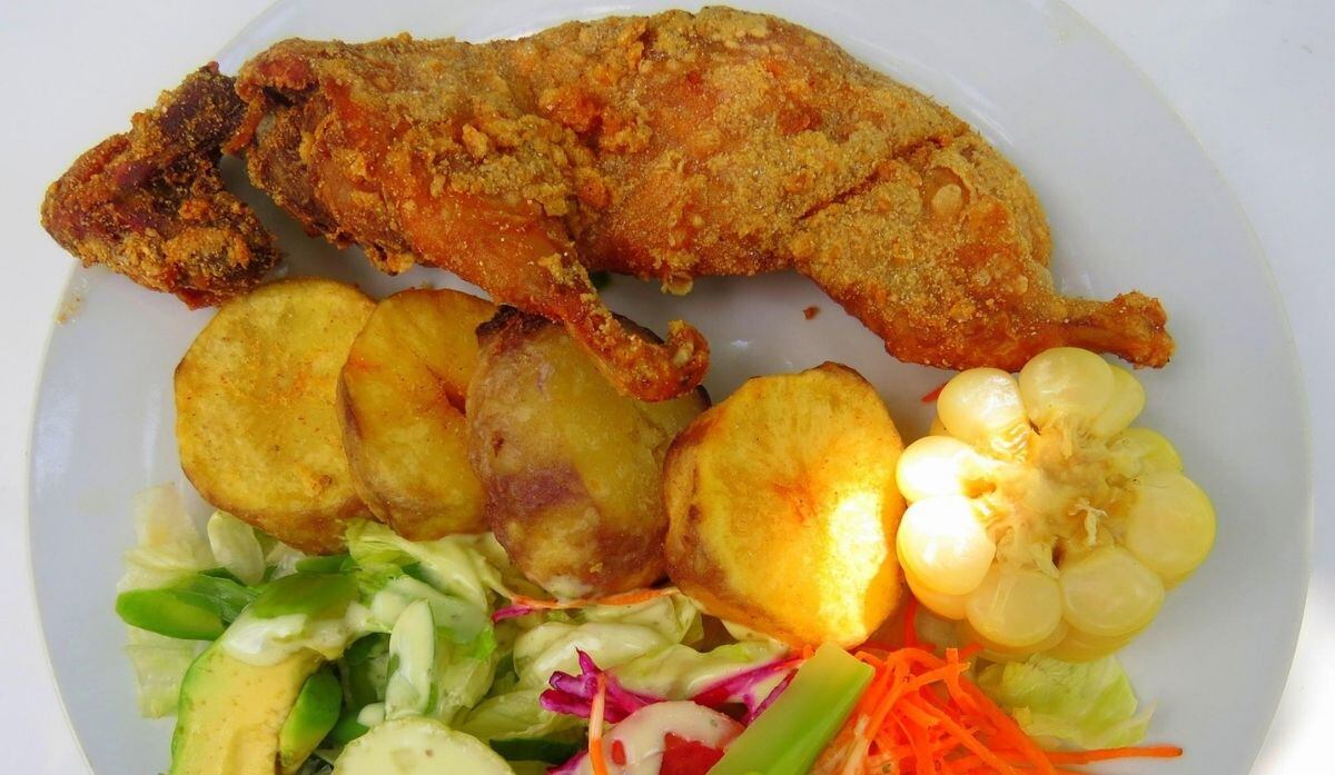 CUY CHACTADO (Foto: Welcome to Ayacucho / Facebook)