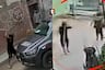 ¡Todo quedó grabado! Sujeto ataca a policía con un palo, destruye patrullero y termina herido de bala en Puente Piedra