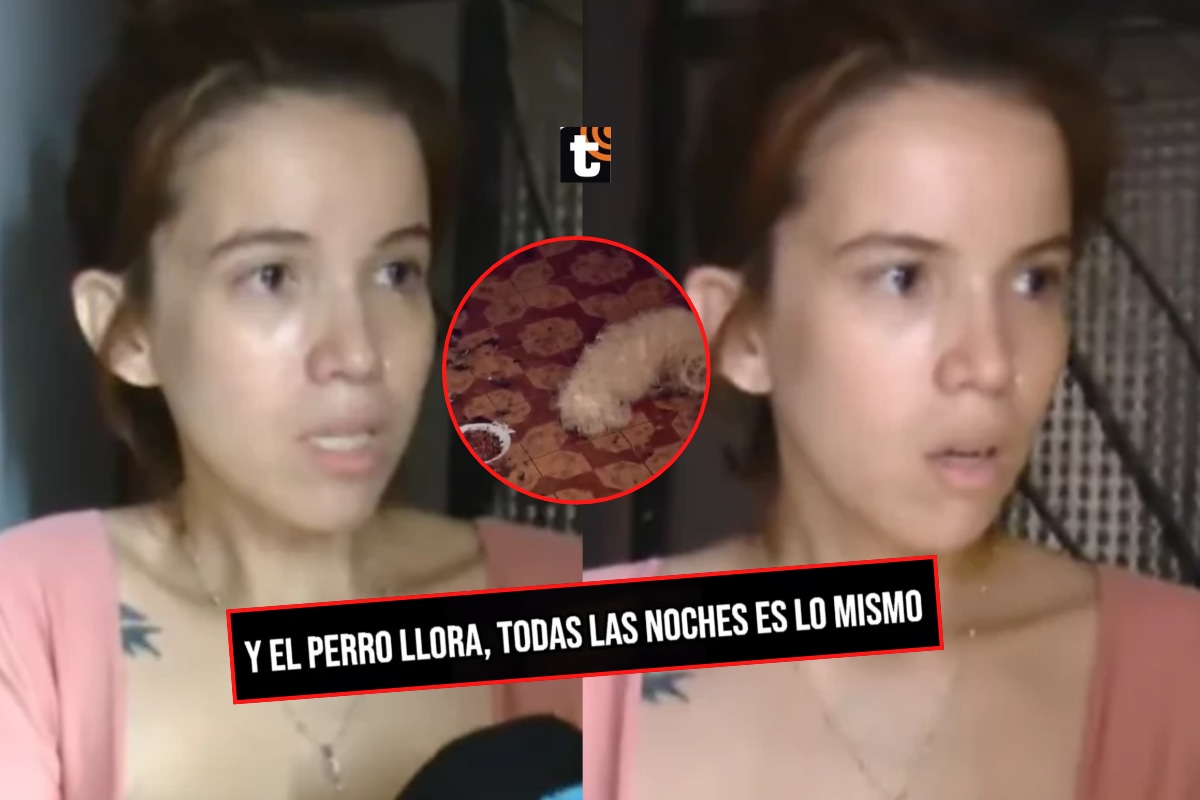 Greissy Ortega es denunciada por presunto maltrato animal.