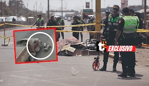 Policía cae de moto y tráiler lo mata: Accidente fue captado por las cámaras de seguridad