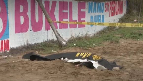 Lurín: Asesinan a hombre y abandonan sus restos a metros de la Panamericana Sur