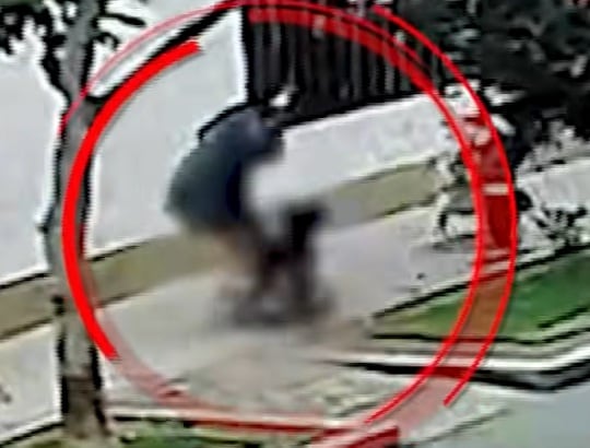 Joven contadora fue víctima de terrible ataque en San Isidro. (24 Horas / Panamericana)
