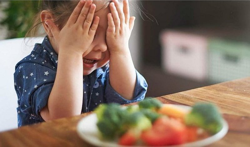 Nutricionista nos da algunos consejos para compartir con nuestros niños los hábitos de la alimentación saludable.