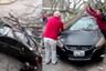 VMT: Árbol se viene abajo aplastando automóvil y su dueño se salva de milagro | VIDEO