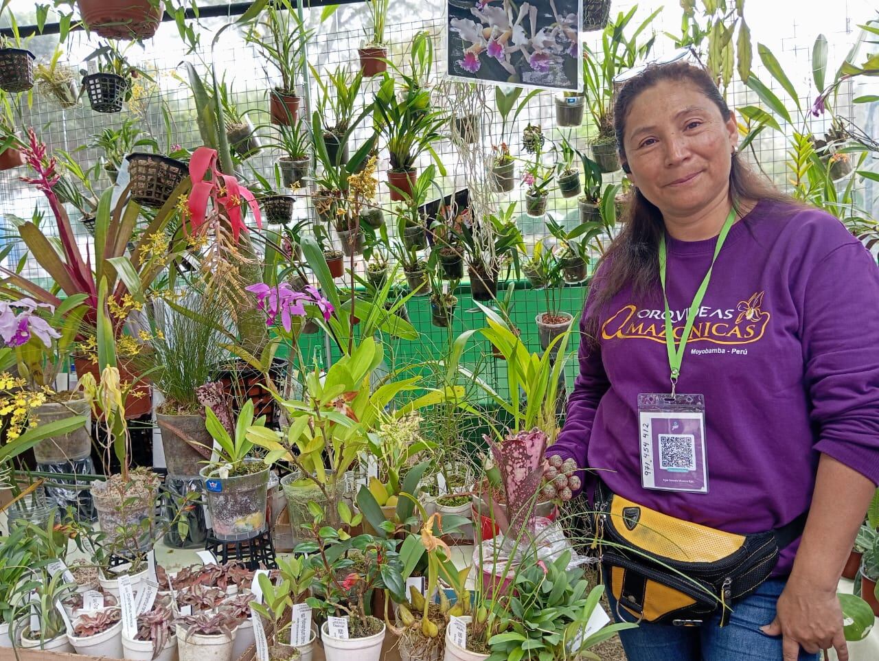 Orquídeas y flores exóticas vienen de Tarapoto y son un éxito.