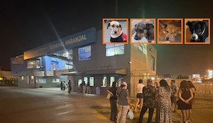 Acusan a la ATU por desaparición de cuatro perritos de la Estación Naranjal del Metropolitano | VIDEO