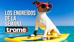 ¡Verano amoroso con ellas! Conoce a las mascotas engreídas de Trome de esta semana