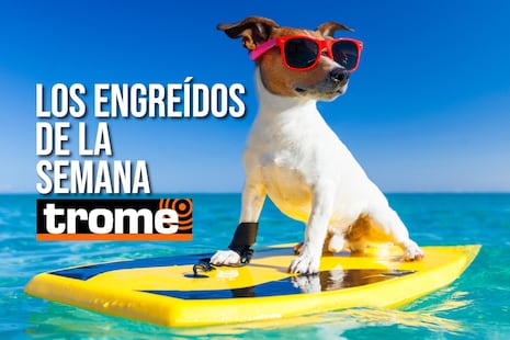 ¡Verano amoroso con ellas! Conoce a las mascotas engreídas de Trome de esta semana