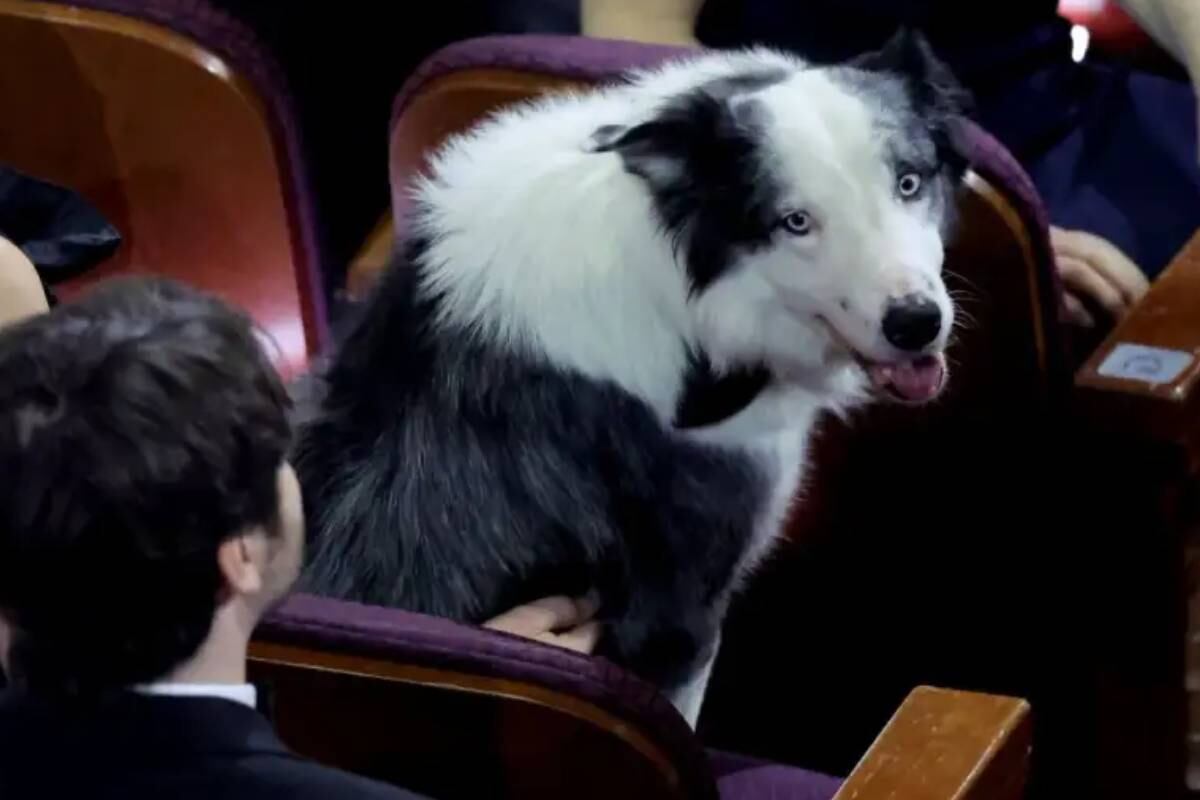 Messi está presente en los premios Oscar 2024. FOTO: AFP