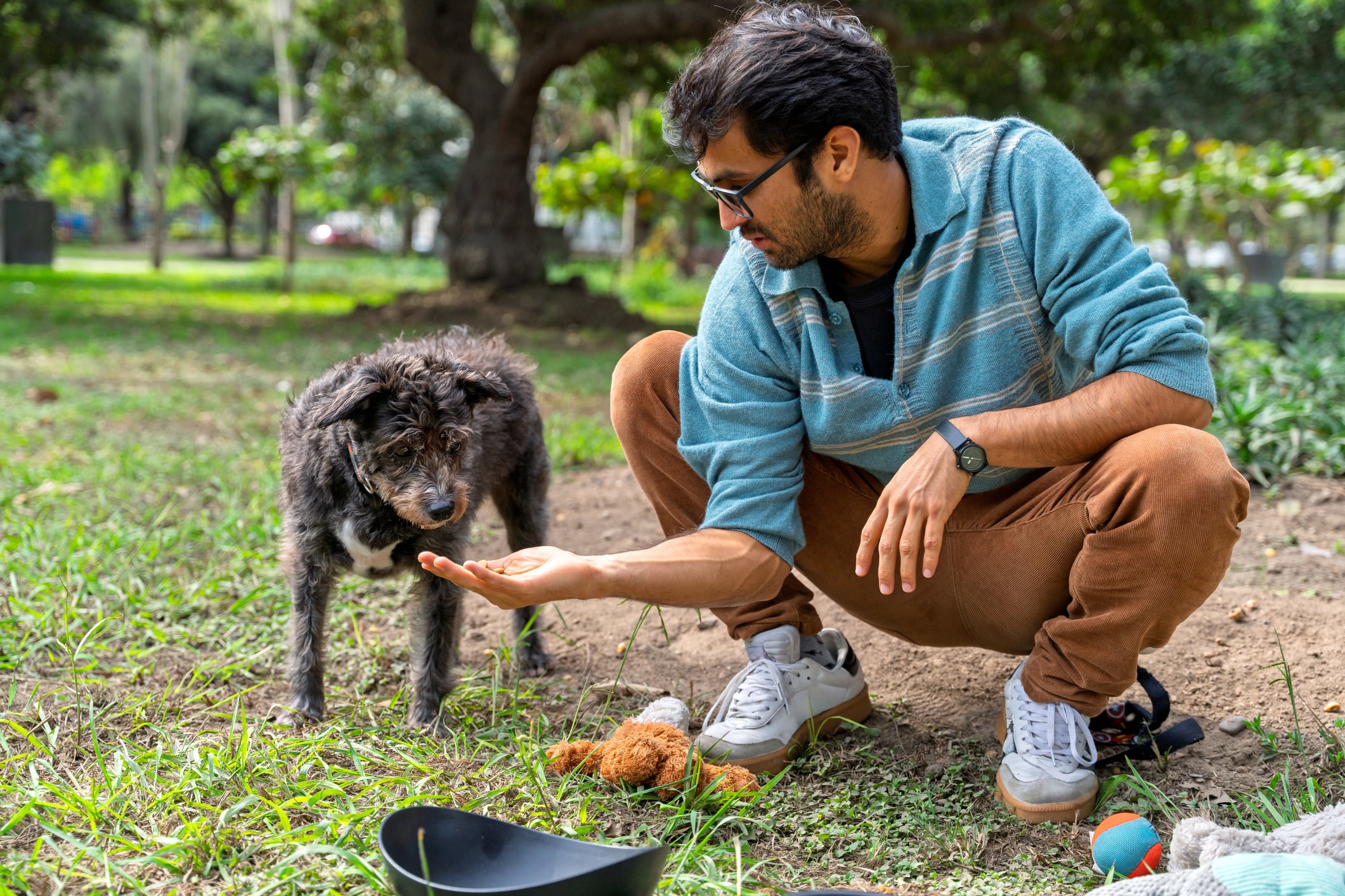Más de 6 millones de perros viven en abandono en Perú y aproximadamente 2 millones de ellos están en las calles de Lima. Foto: Istock