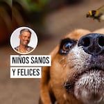 Pancho Cavero: “Una simple picadura puede poner en riesgo la vida de tu mascota”