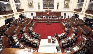 Pepitas: No tienen ni dos meses y los diputados y senadores se van de viajecitos inútiles